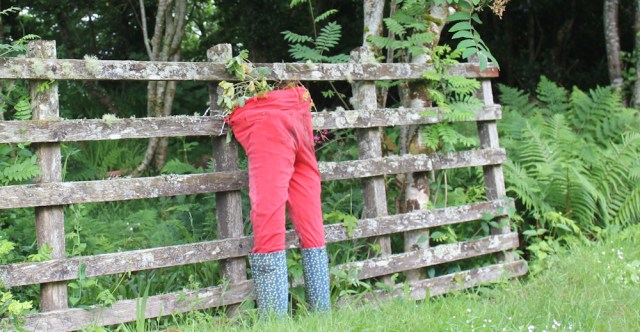 07 headless trousers, Loch Melfort, Ruth's coastal walk around Scotland