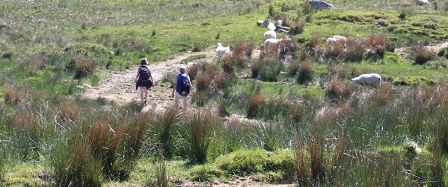 08 off to secret beach, Ruth's coastal walk, Argyll, Scotland