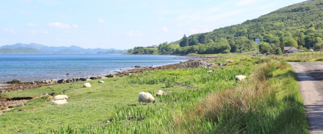 08 road to Achnamara, Ruth's coastal walk, Knapdale, Scotland