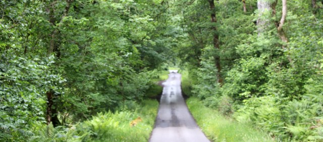09 quiet road, Loch Melfort, Ruth's coastal walk around Scotland