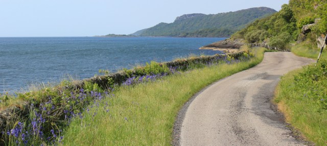 09 road to Ellary Estate, Ruth's coastal walk, Argyll, Scotland