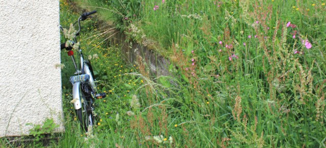 15 monster lurking, Ruth hiking the coast of Scotland