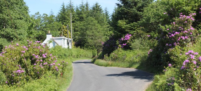 18 Daltote Cottage, Ruth's coastal walk, Knapdale, Scotland