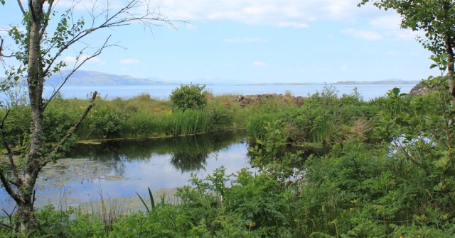 18 water through trees, Ruth's coastal walk, Argyll