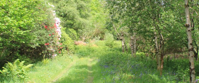 19 Dounie House, Ruth's coastal walk, Argyll