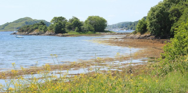 19 Eilean Traighte, Ruth's coastal walk, Scotland