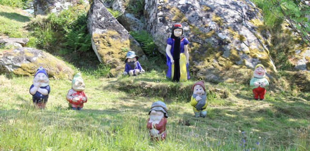 19 snow white and some dwarves, Ruth's coastal walk, Argyll, Scotland
