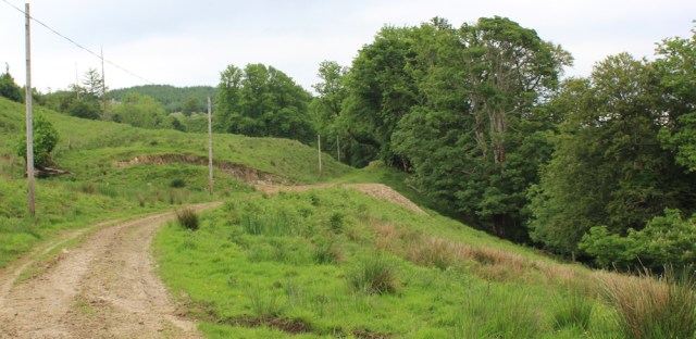 21 Farm track, Ruth's coastal walk, Scotland