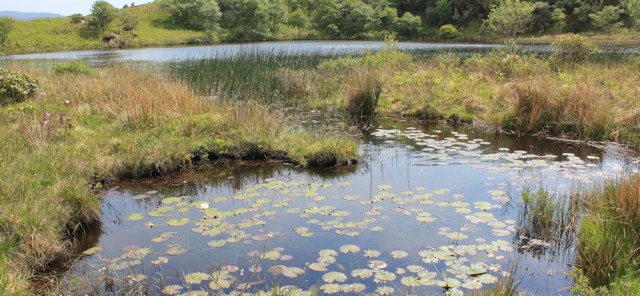 22 back to the secret valley, Ruth's coastal walk, Argyll, Scotland