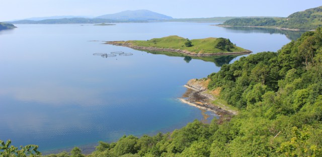 22 Loch Melfort and Eilean Coltair, Ruth's coastal walk around Scotland