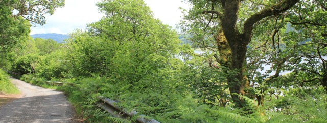 22 road above Loch Nell, Ruth's coast walk around Scotland