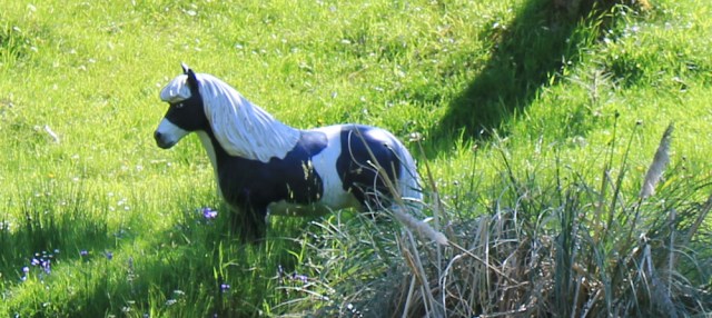 23 fake horse, Ruth's coastal walk, Knapdale, Scotland