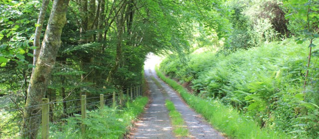 23 very quiet road, Ruth's coastal walk around Scotland, Loch Melfort