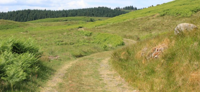 26 farm track towards Black Mount, Ruth's coast walk around Scotland