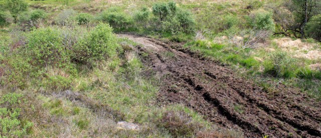27 thick mud, Ruth's coastal walk, Argyll, Scotland