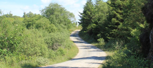27 track to Crinan, Ruth Livingstone hiking the coast of Argyll, Scotland