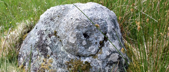 28 cup marked rock, Ruth's coast walk around Scotland