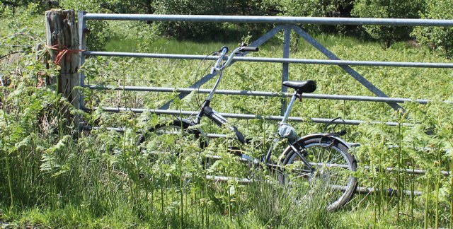 33 The Monster by the gate, Ruth's coastal walk, Argyll, Scotland