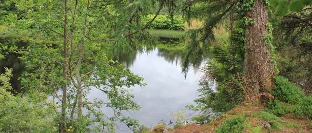 35 lochan Eilean, Ruth hiking Black Mount, near Oban