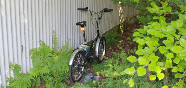 35 The Monster, Ruth's coastal walk, Knapdale, Scotland