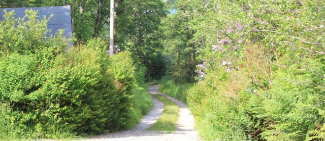 45 track to main road, Ruth's coastal walk, Scotland