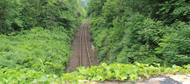 49 over railway line, Oban, Ruth's coastal walk