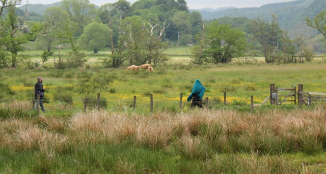 49 wrapped girl, Kilmartin, Ruth's coastal walk, Scotland
