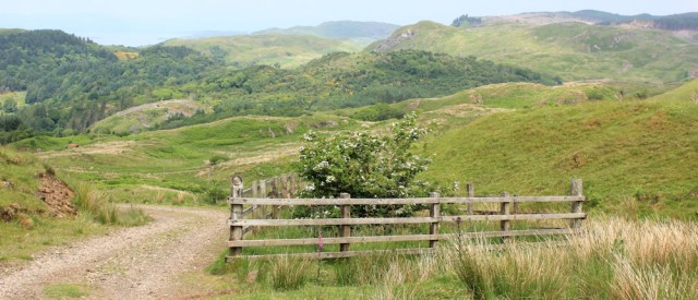 53 Money Tree, Ruth's walk around Scotland's coast