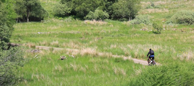 58 cyclist, Ruth's walk around Scotland's coast