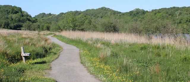 68 footpath along Barnluasgan, Ruth walking the coast of Argyll, Scotland