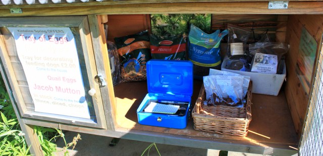 15 rum and raisin fudge, Ruth's coastal walk in Scotland