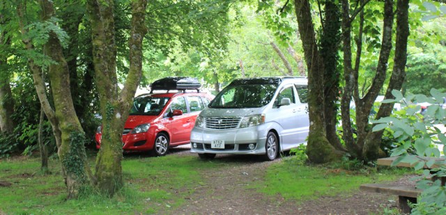 17 Beast among the trees, Ruth Livingstone