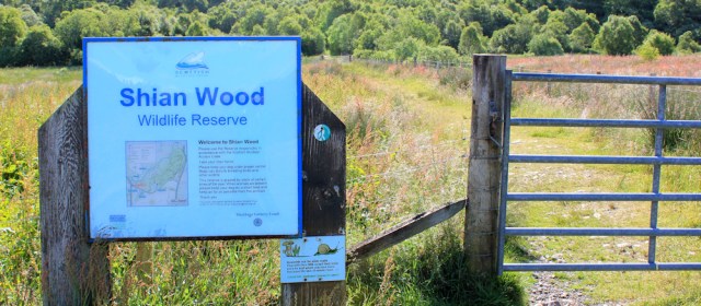 21 Shian Wood wildlife reserve, Ruth's coastal walkaround Scotland