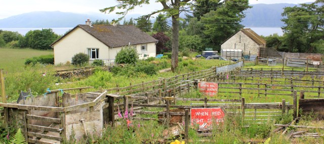26 when red light shows, Ruth hiking the Scottish coast