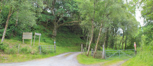 58 Glencoe Wood, Ruth hiking the Scottish coast