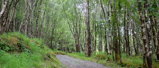 61 Highland Titles woodland walks, Ruth hiking in Scotland