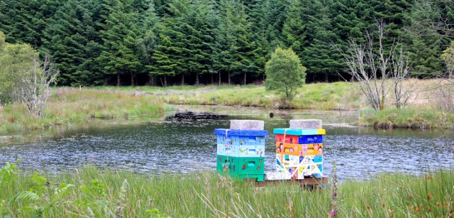 62 lochs and painted boxes, Ruth hiking to Duror