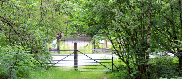 65 Duror cemetery, Ruth's coastal walk around Scotland