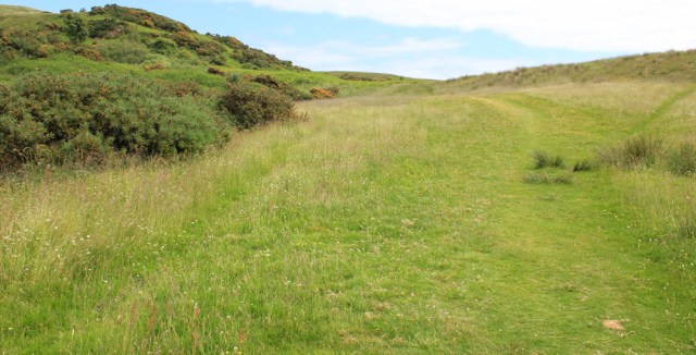 up the hill, Ruth Livingstone.jpg