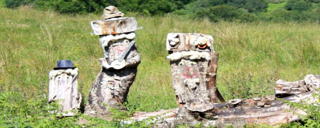 03 tree trunk trio, Ruth's coastal walk around Scotland