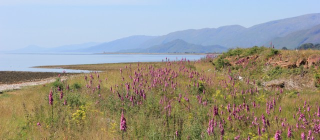 05 walking up Loch Linnhe, from Ardgour, Ruth hiking the coast of Scotland