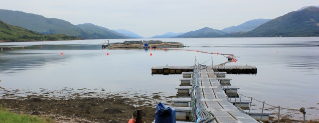 06 fish farm, Loch Linnhe, Ruth's coastal walk around the UK, Scotland