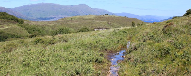 16 wet path, Ardsheal Hill, Ruth's coastal walk around Scotland