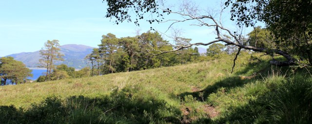 19 Loch Linnhe from the Ardsheal woods, Ruth's coastal walk around Scotland