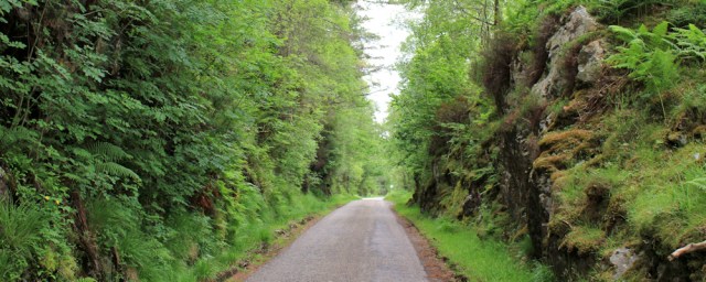 22 A861 to Camusnagaul Ferry, Ruth hiking in Scotland