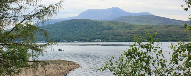 23 Ben Nevis from across Loch Linnhe, Ruth hiking to Camusnagaul Ferry