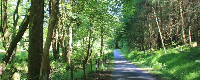 23 wooded estate road, Ardsheal House, Ruth's coastal walk around Scotland