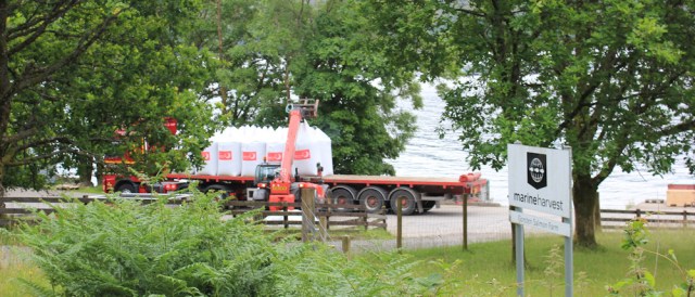 25 Marine Harvest fish farm, Ruth hiking the shore of Loch Linnhe