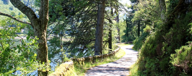 30 private road, Ardsheal, Ruth's coastal walk around Scotland