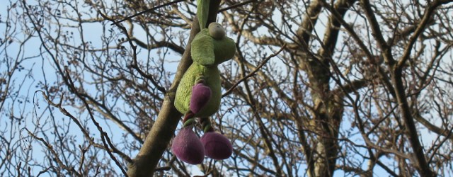 07 toy in a tree, Ruth hiking the coast of Morvern Peninsula